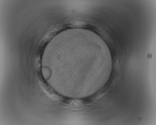 X0000112730599200909101453