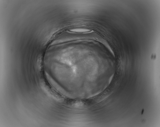 X0000112730600200909101453