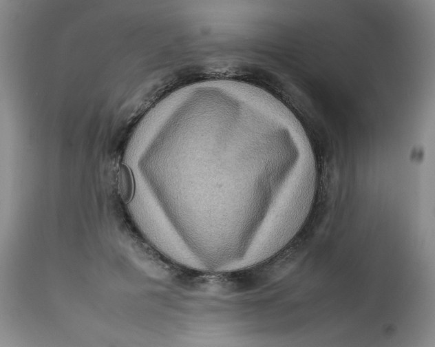 X0000112730601200909101453