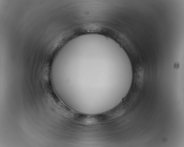 X0000112730604200909101453