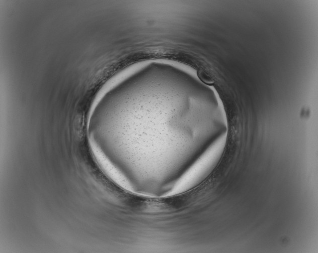 X0000112730605200909101453