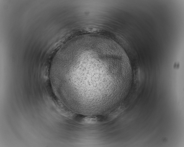 X0000112730606200909101453