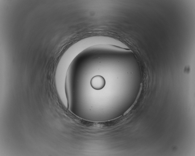 X0000112730609200909101453