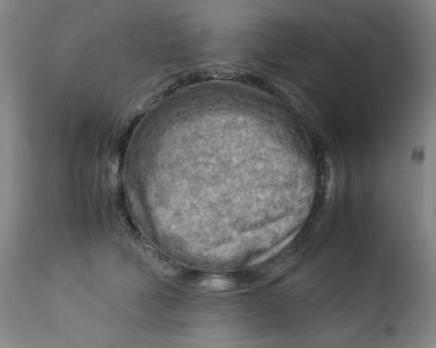 X0000112730610200909101453