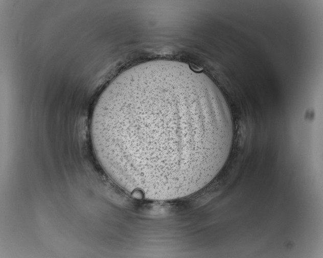 X0000112730612200909101453