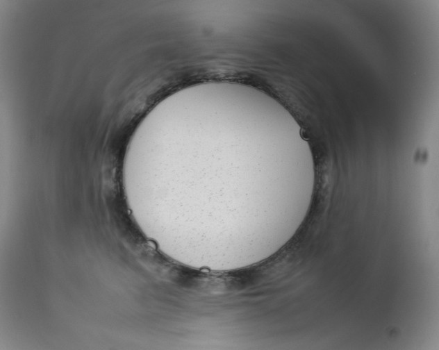 X0000112730615200909101453