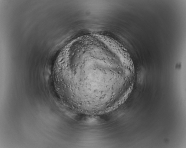 X0000112730618200909101453