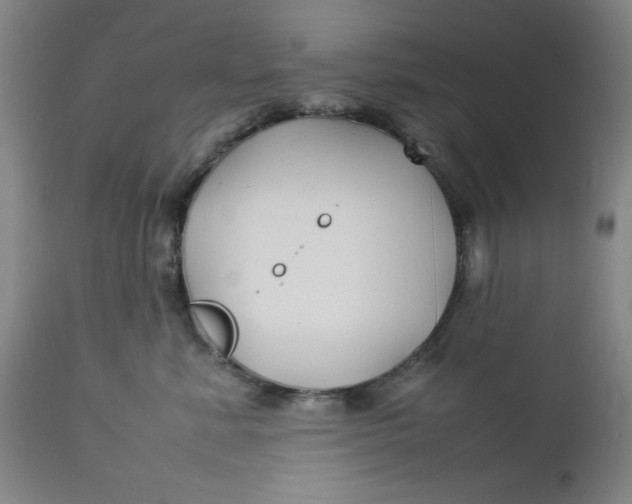 X0000112730619200909101453