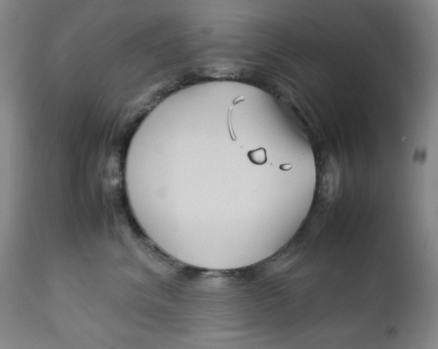 X0000112730620200909101453