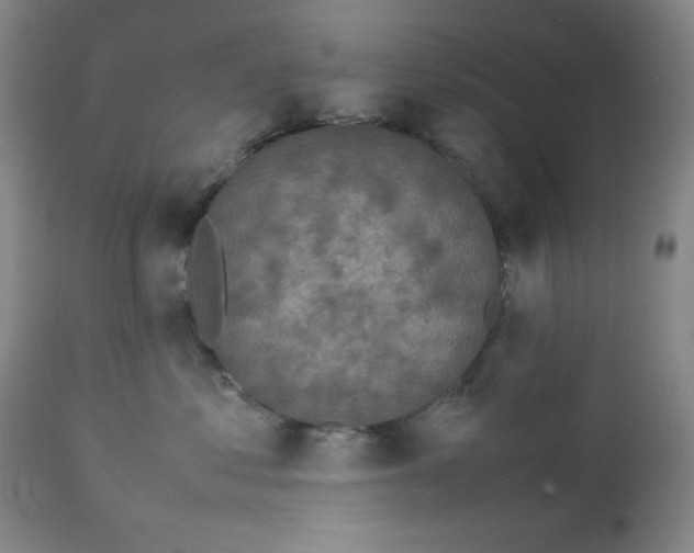 X0000112730621200909101453