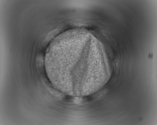 X0000112730623200909101453