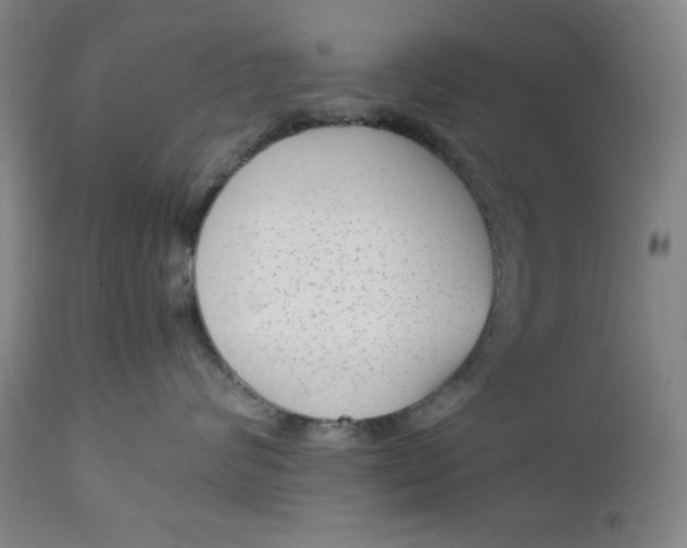 X0000112730624200909101453