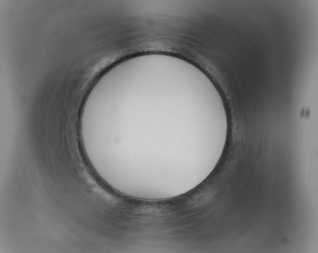 X0000112730625200909101452