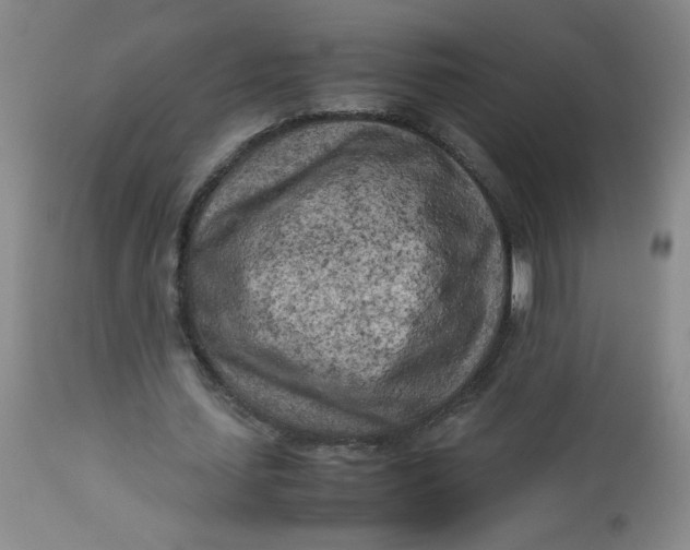 X0000112730627200909101452