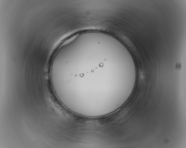 X0000112730628200909101452