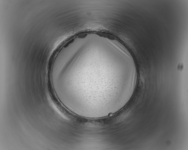 X0000112730630200909101452