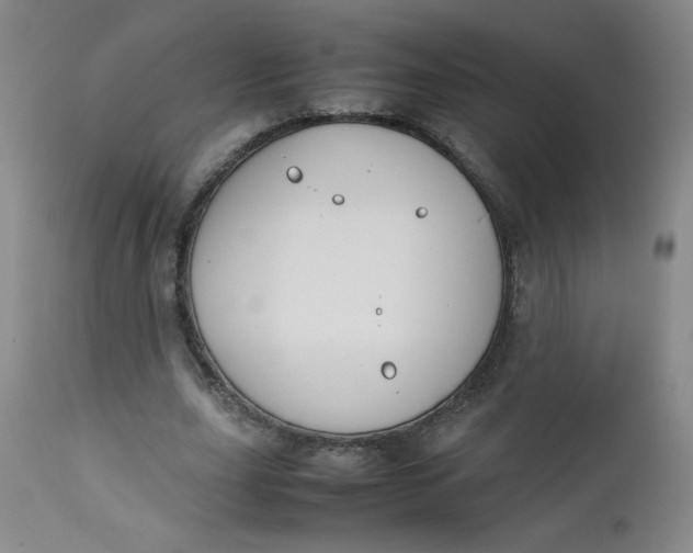 X0000112730631200909101452