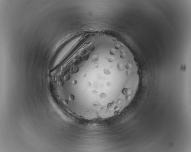 X0000112730634200909101452