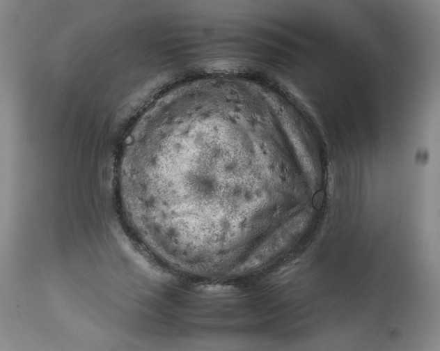 X0000112730637200909101452