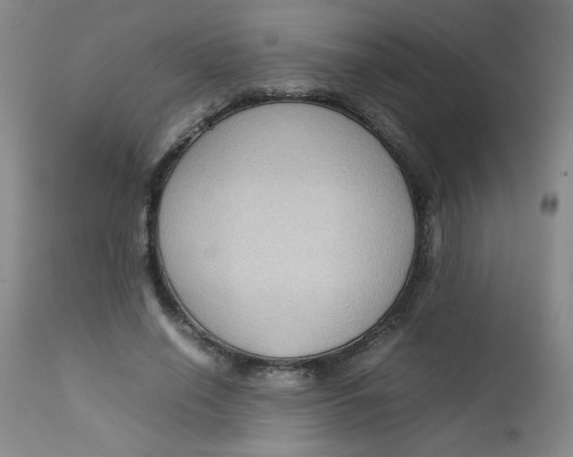 X0000112730638200909101452