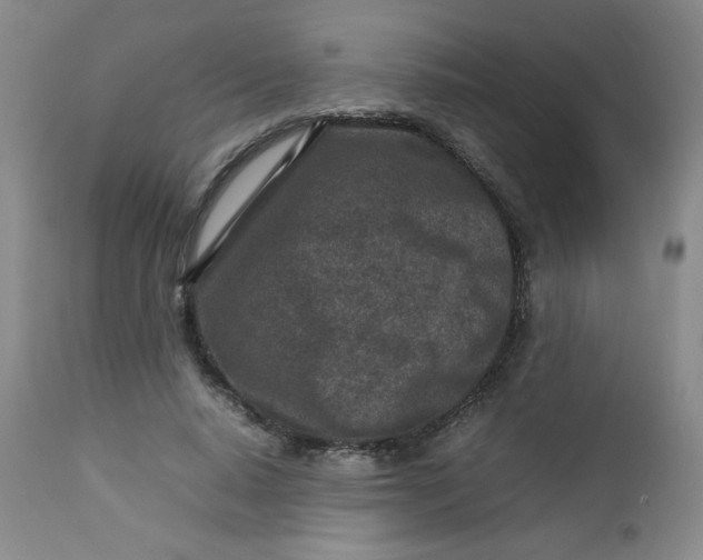 X0000112730640200909101452