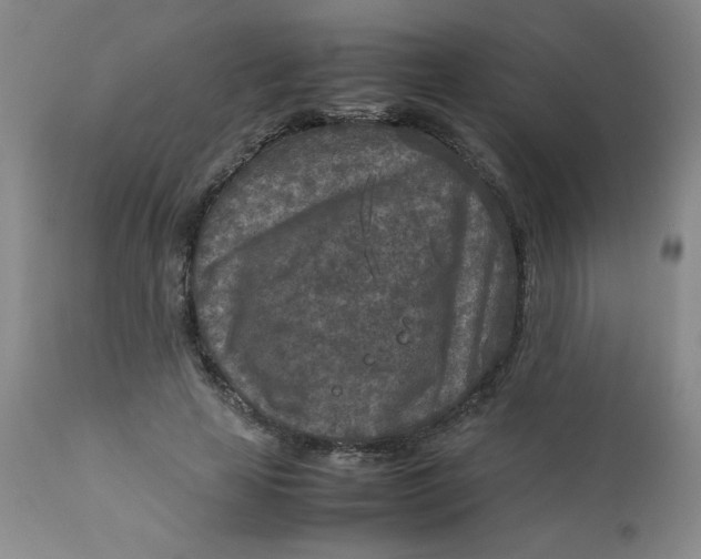 X0000112730641200909101452