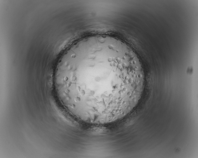 X0000112730642200909101452