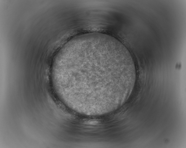 X0000112730643200909101452