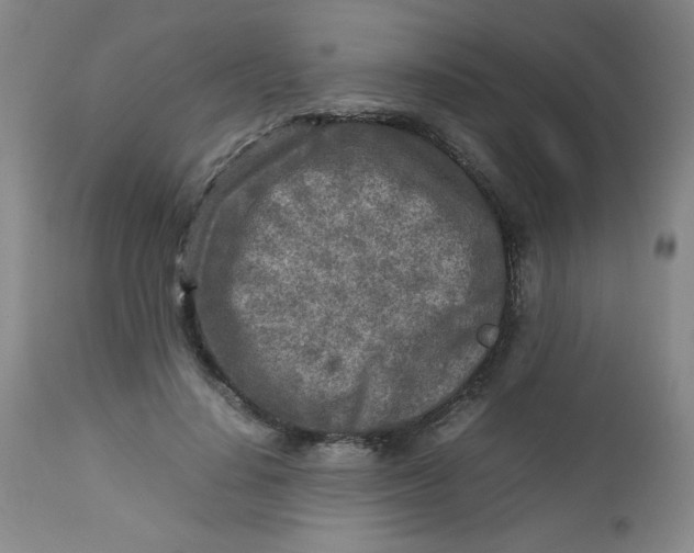 X0000112730644200909101452