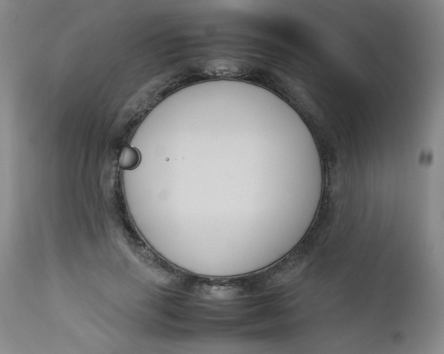 X0000112730645200909101453