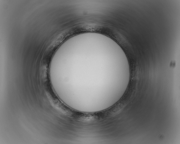 X0000112730646200909101453