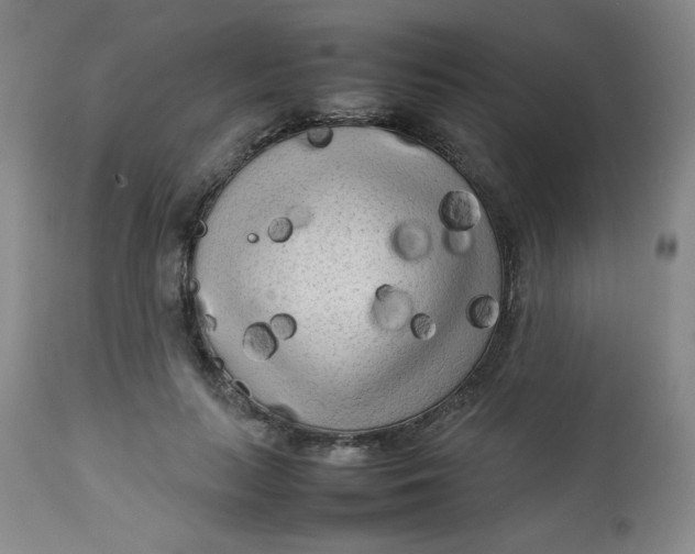 X0000112730647200909101453