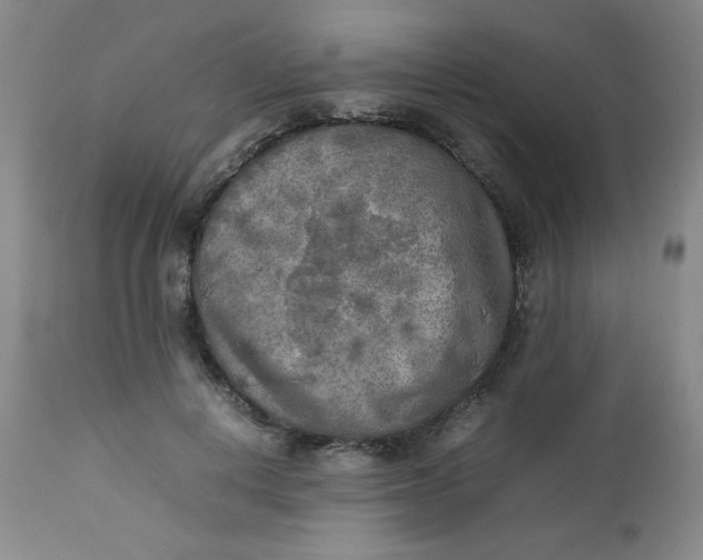 X0000112730648200909101453