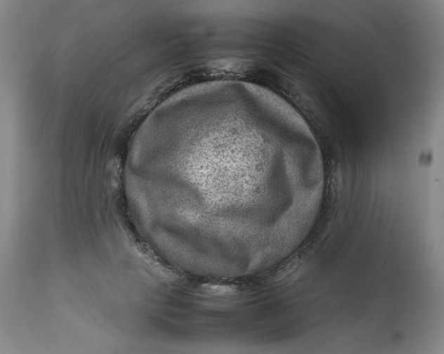 X0000112730649200909101453