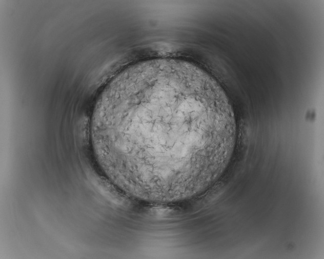 X0000112730650200909101453