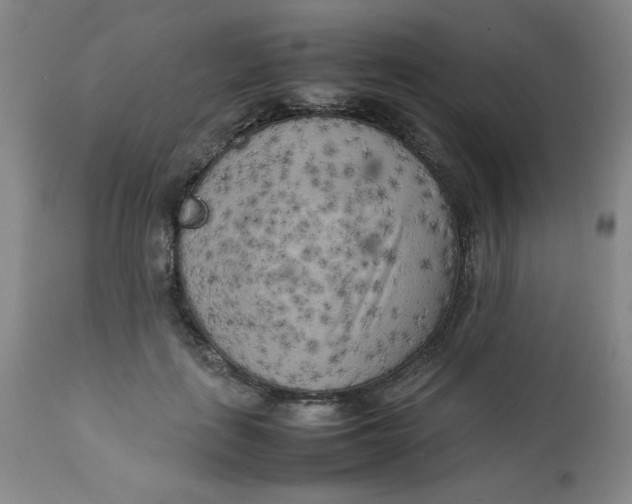 X0000112730651200909101453