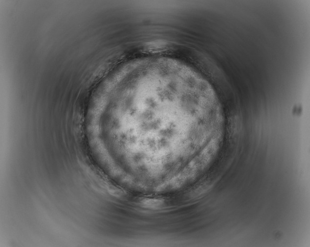 X0000112730653200909101453