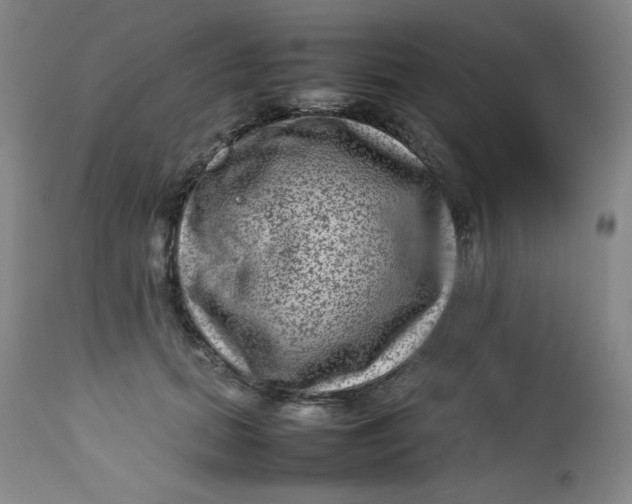 X0000112730655200909101453