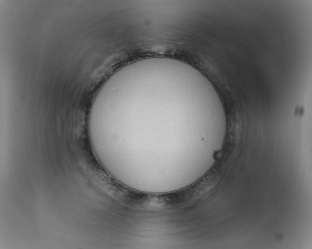 X0000112730656200909101453