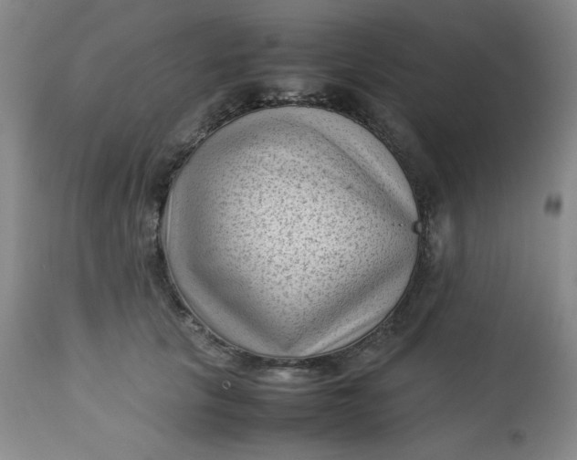 X0000112730657200909101453