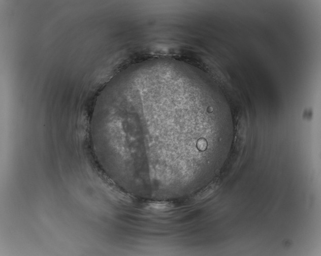 X0000112730659200909101453