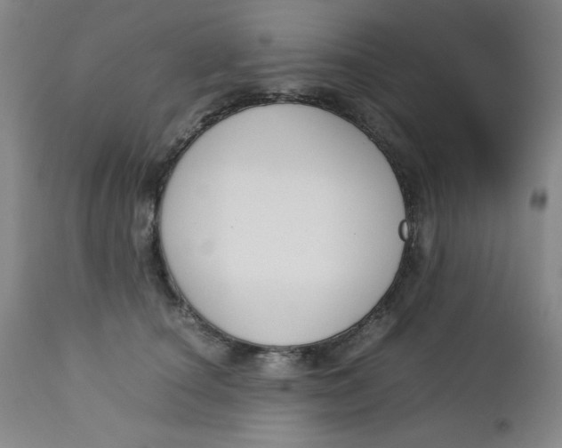 X0000112730660200909101453