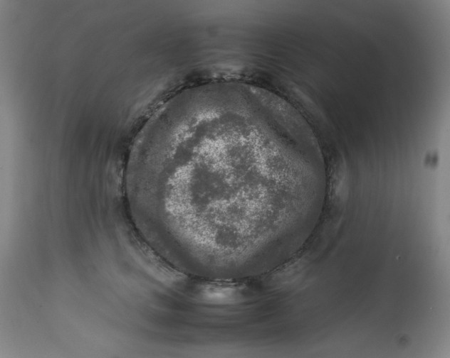 X0000112730661200909101453