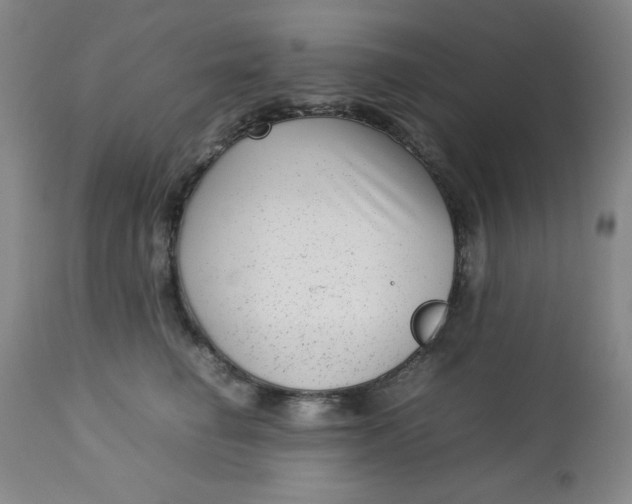 X0000112730662200909101453