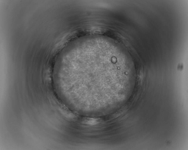 X0000112730663200909101453