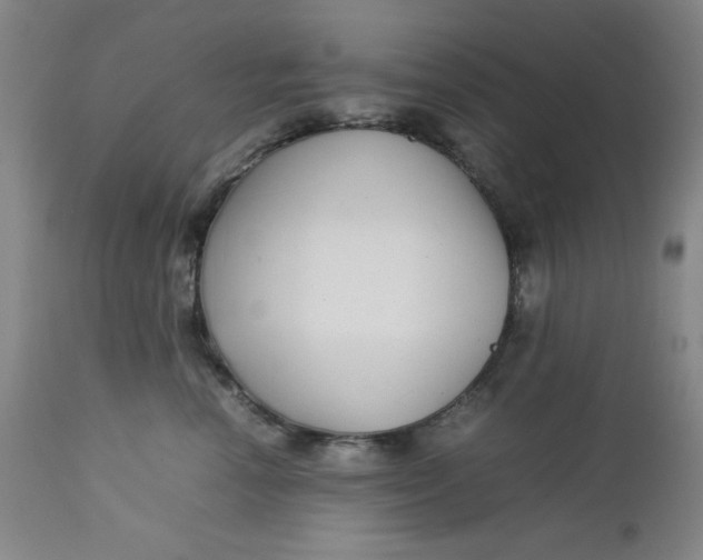 X0000112730666200909101453