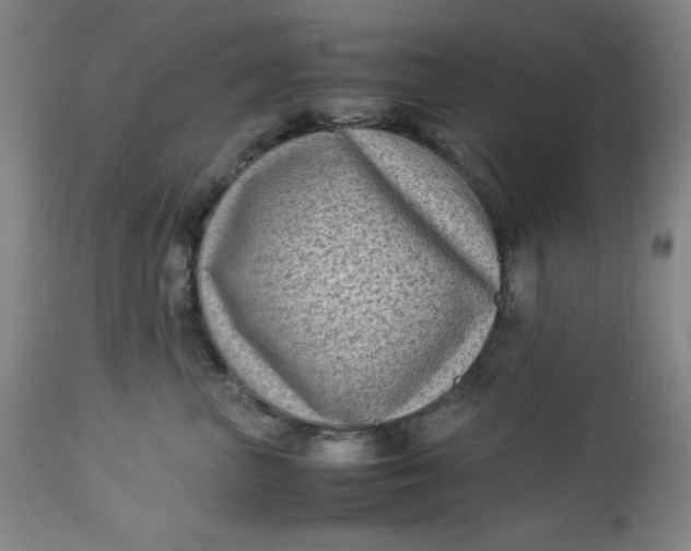 X0000112730667200909101453