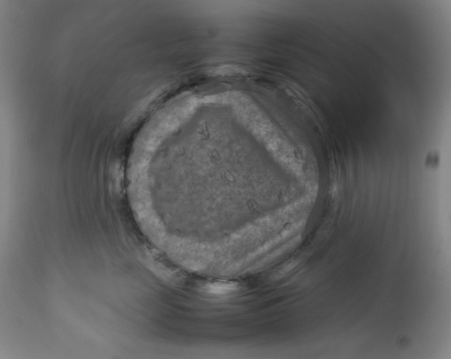 X0000112730669200909101453