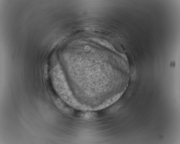 X0000112730670200909101453