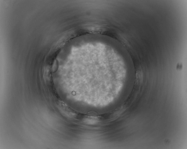 X0000112730671200909101453